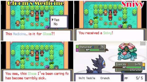Ultimate Guide on How to Help Gloom in Pokémon Radical Red.